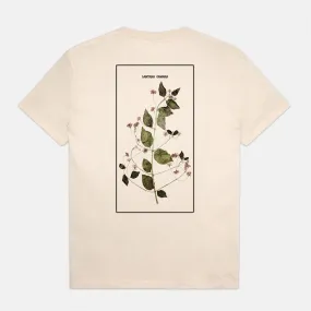 Pass Port Skateboards - Lantana T-Shirt - Natural